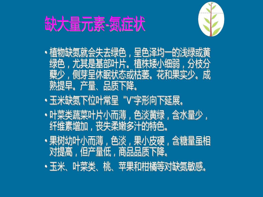 模块二-化肥减施增效基础知识共57页课件.ppt_第3页