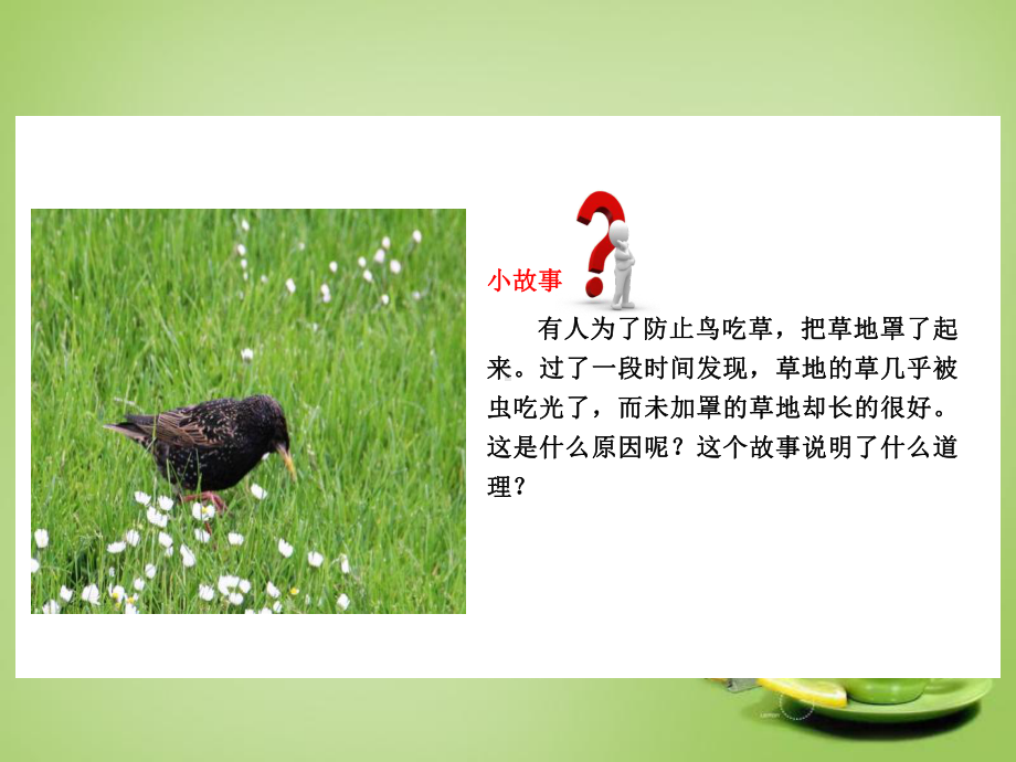 公开课生物与环境组成生态系统课件.ppt_第2页