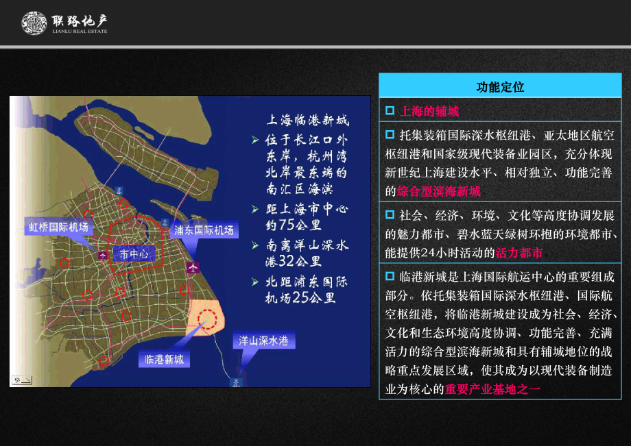 临港新城市调报告课件.ppt_第2页