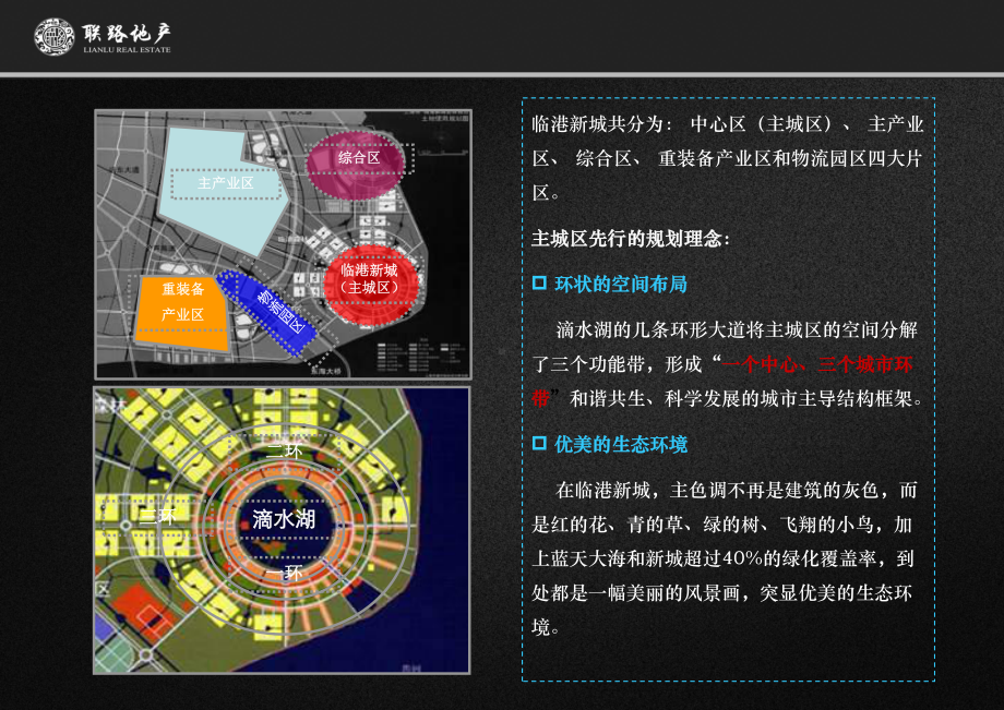 临港新城市调报告课件.ppt_第3页