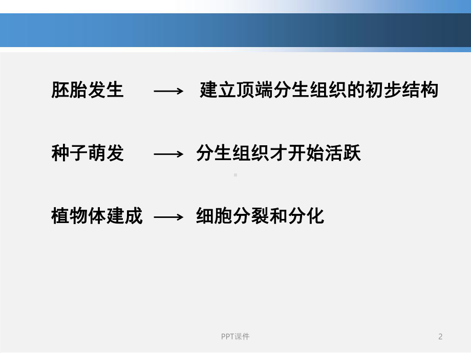 植物发育生物学-苗端分生组织及其侧生器官的发育课件.ppt_第2页