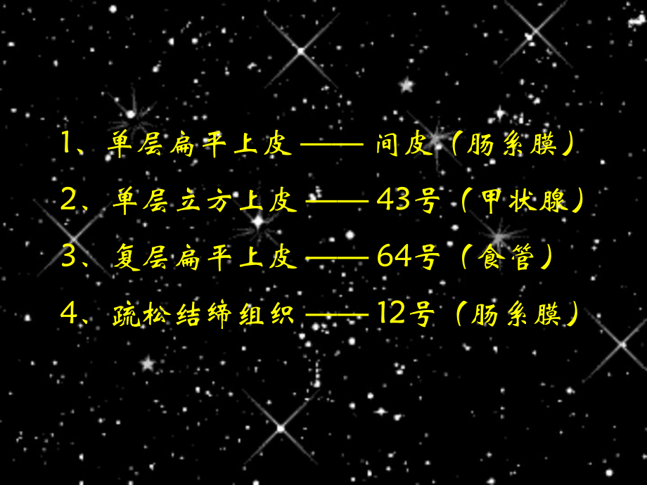 组织学与胚胎学实验考试--上皮、结缔组织-PP课件.ppt_第2页