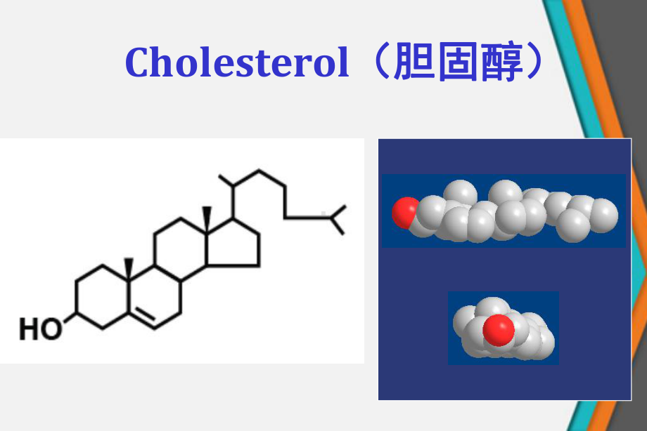 胆固醇代谢平衡调控机制和合成课件.ppt_第3页