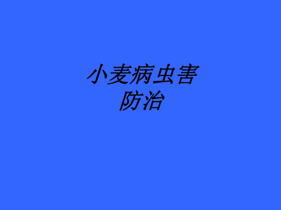 小麦病虫害防治讲义课件.ppt_第1页