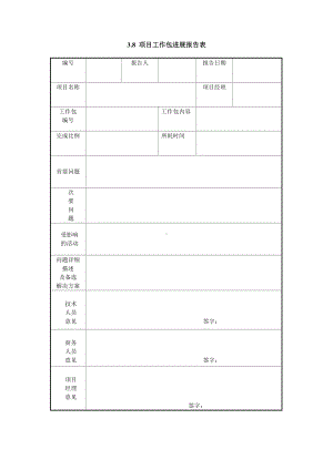 项目工作包进展报告表.doc