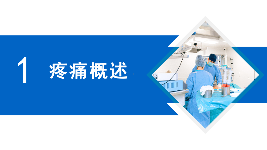 2022疼痛护理查房PPT清新创意护理查房通用PPT课件.pptx_第3页