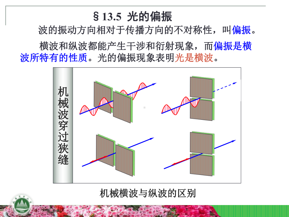 且振动面垂直入射面课件.ppt_第1页