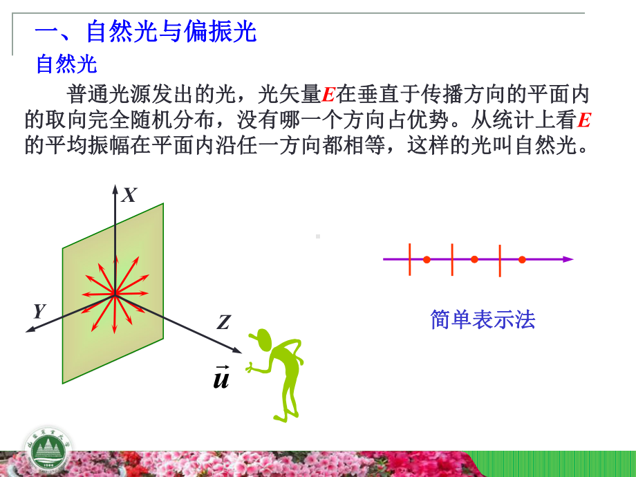 且振动面垂直入射面课件.ppt_第2页