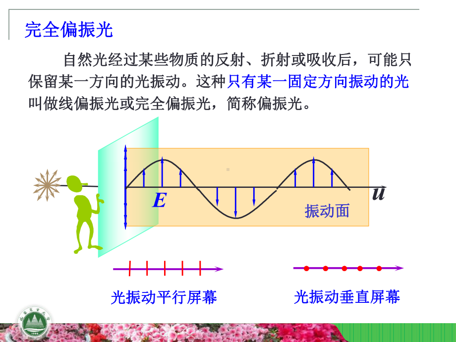 且振动面垂直入射面课件.ppt_第3页