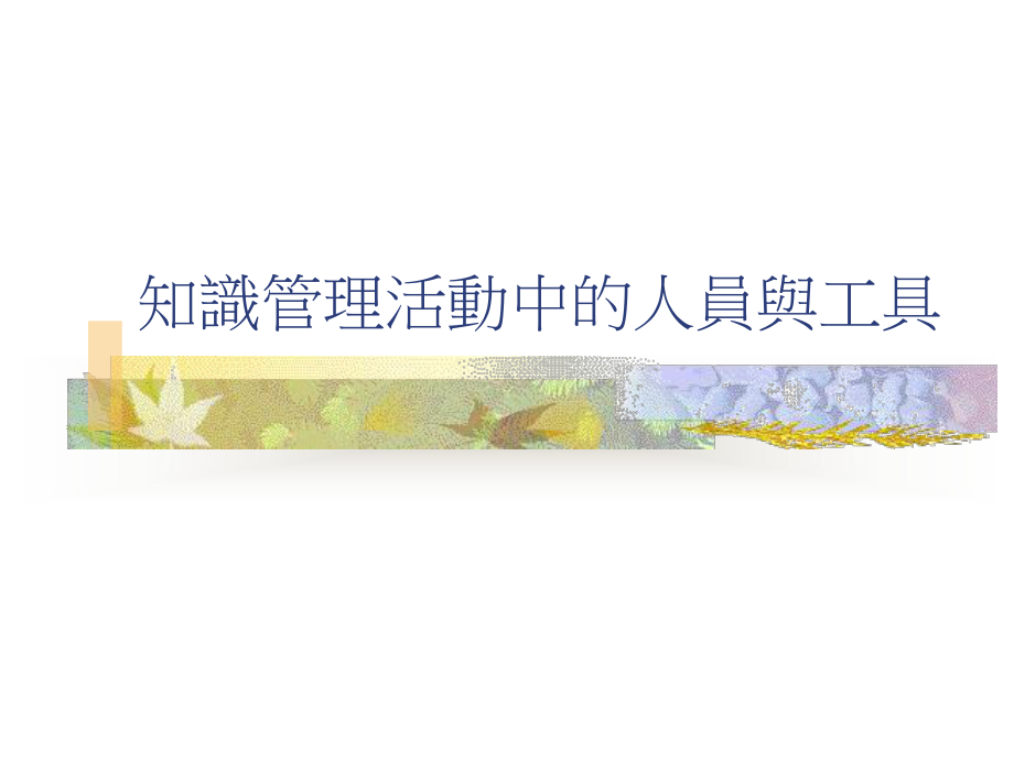 最新知识管理活动中的人员与工具课件.ppt_第1页