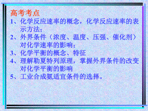 化学平衡理论课件.ppt