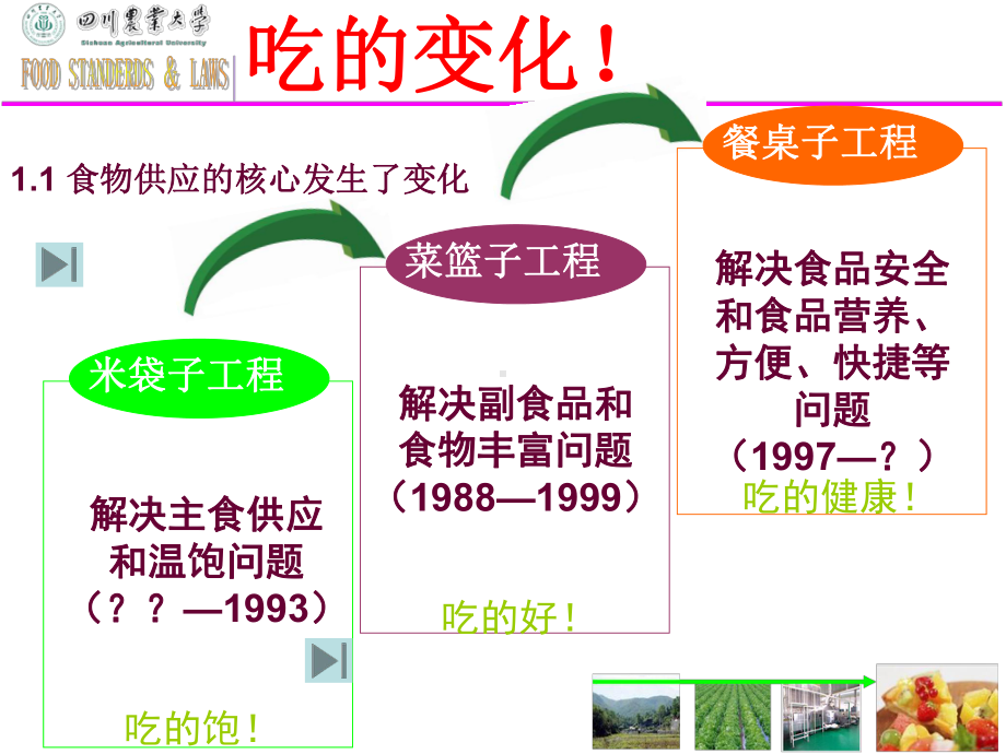 食品标准与法规课件.ppt_第3页