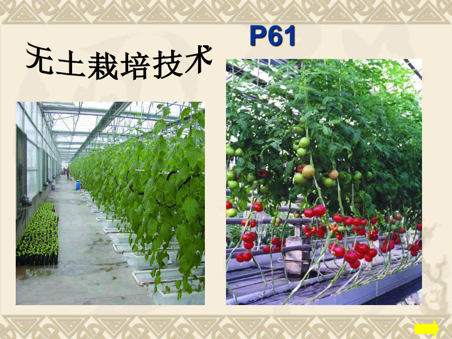 第二节植物生长需要水和无机盐课件.ppt_第3页