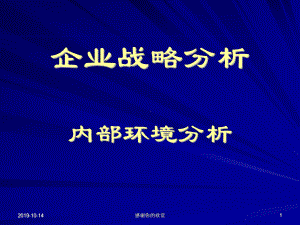 企业战略分析内部环境分析.ppt课件.ppt