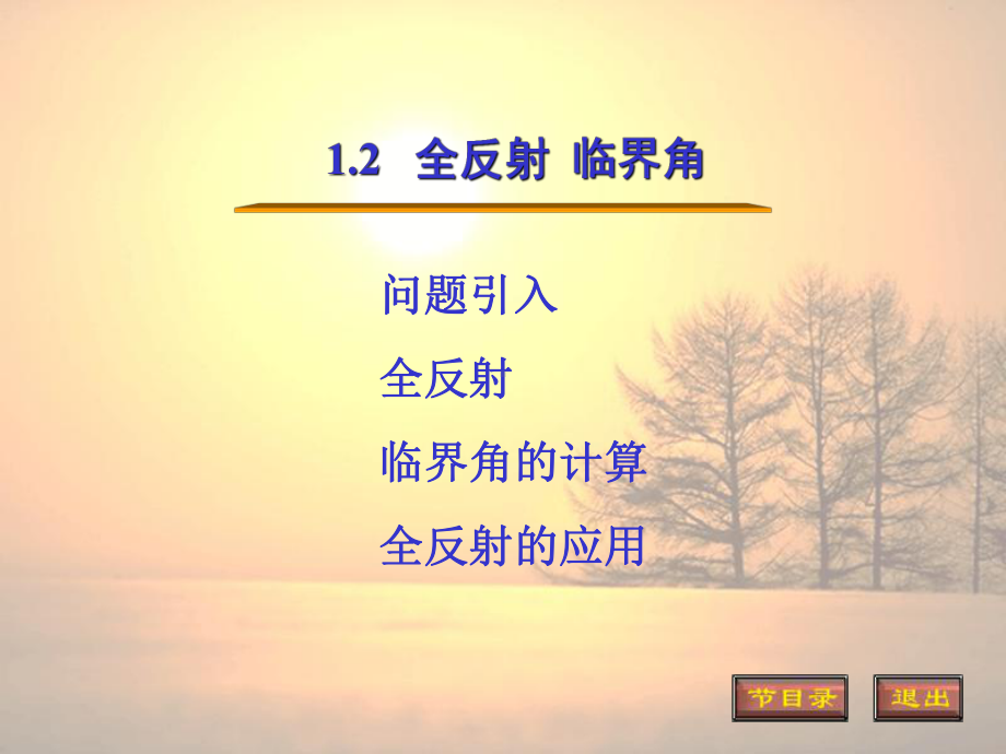 全反射临界角课件.ppt_第1页