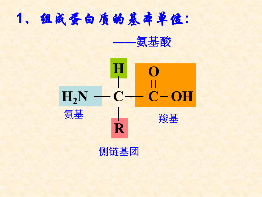 N个氨基酸脱水缩合形成一条肽链课件.ppt_第2页