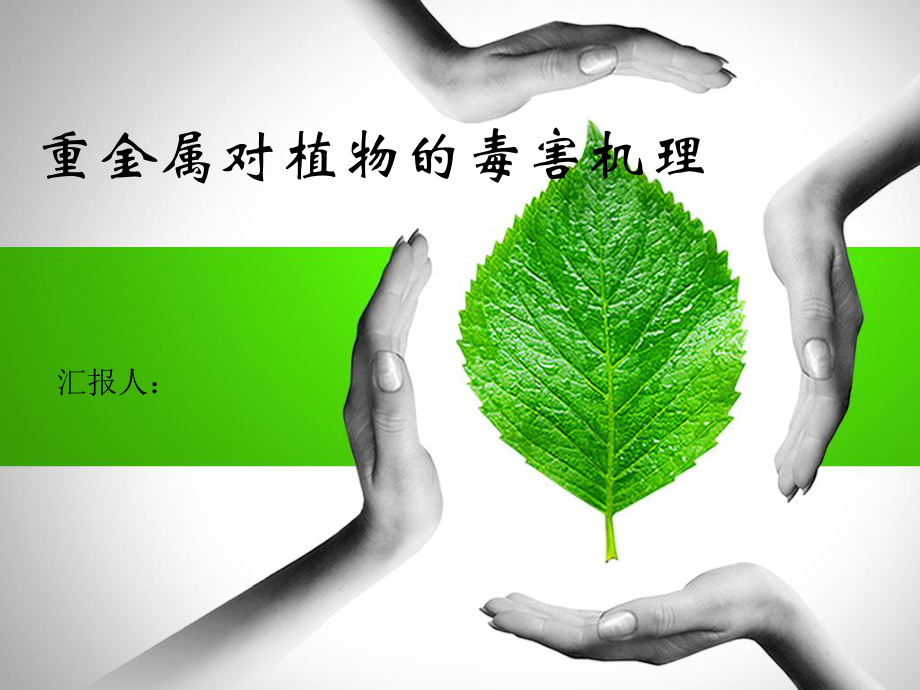 重金属对植物的毒害机理分析课件.ppt_第1页