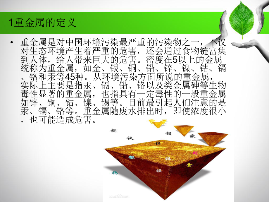 重金属对植物的毒害机理分析课件.ppt_第3页