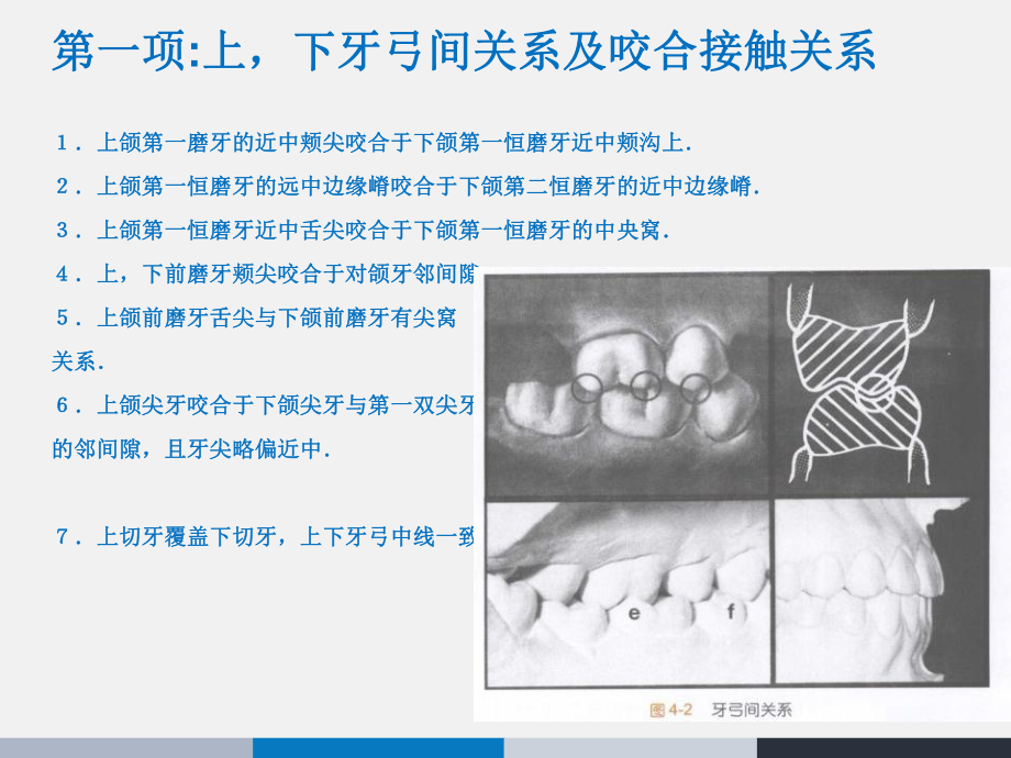 Andrews正常he的六项标准课件.ppt_第2页