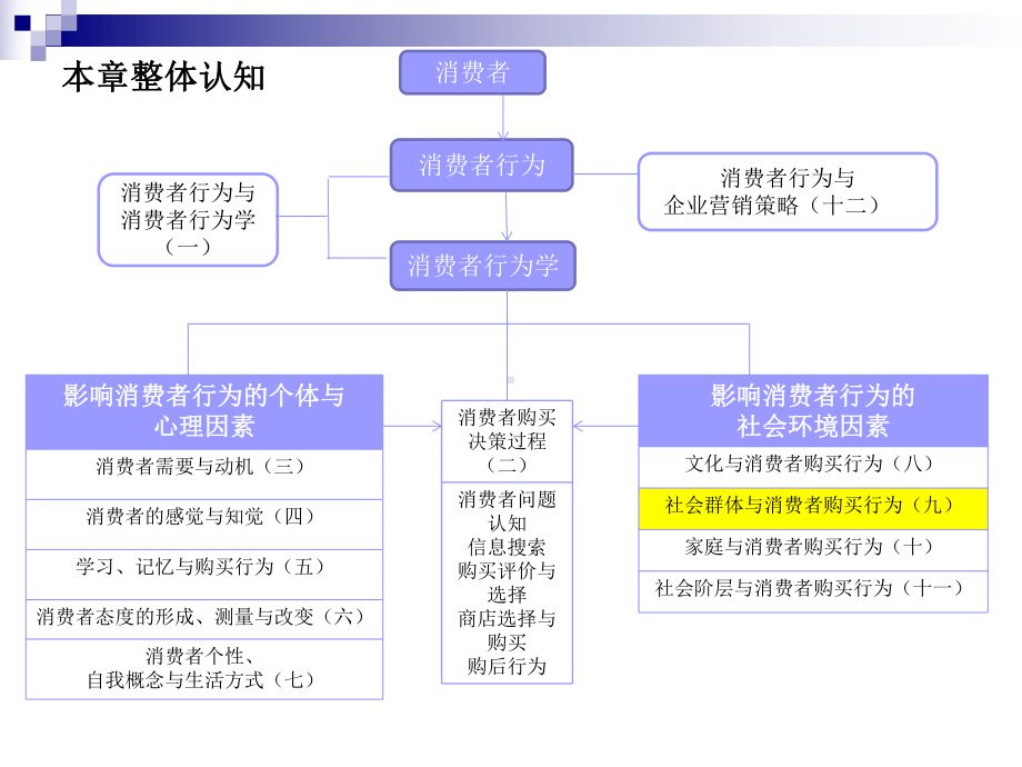 社会群体与消费者购买行为分析课件.pptx_第2页