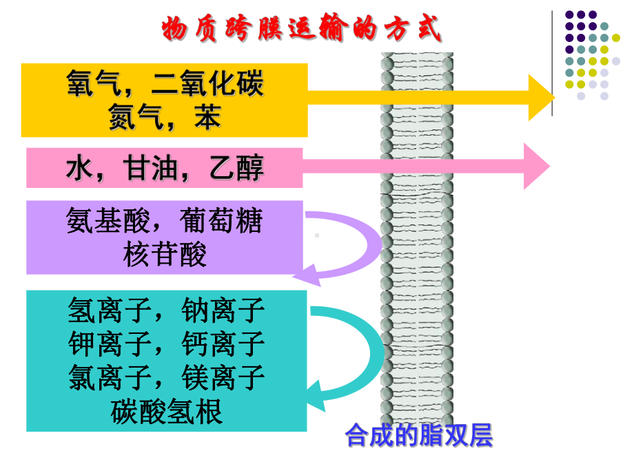 跨膜运输的方式课件.ppt_第3页