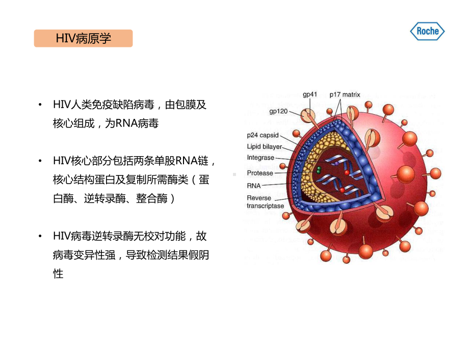 HIV实验室检测课件.pptx_第3页