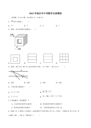 2022年山东省临沂市中考数学全真模拟试卷（六）.docx