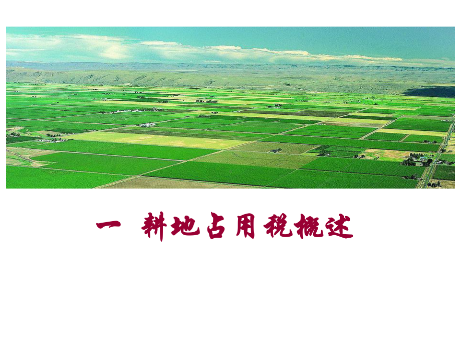 耕地占用税分析课件.ppt_第2页