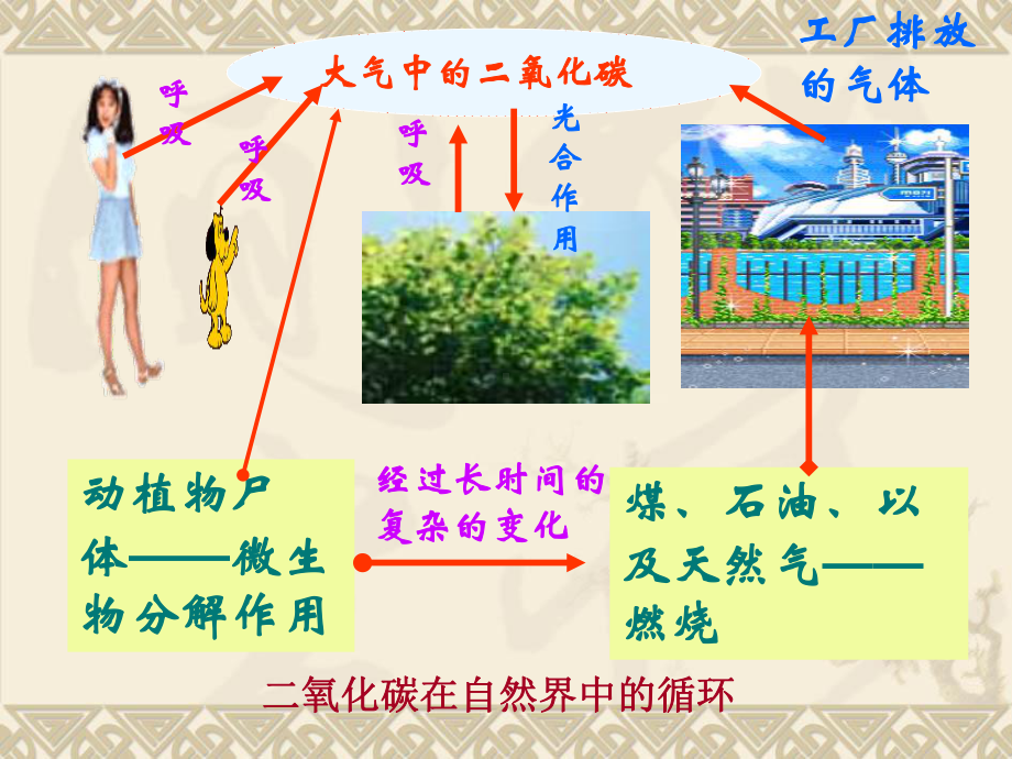 二氧化碳与水的反应课件.ppt_第3页