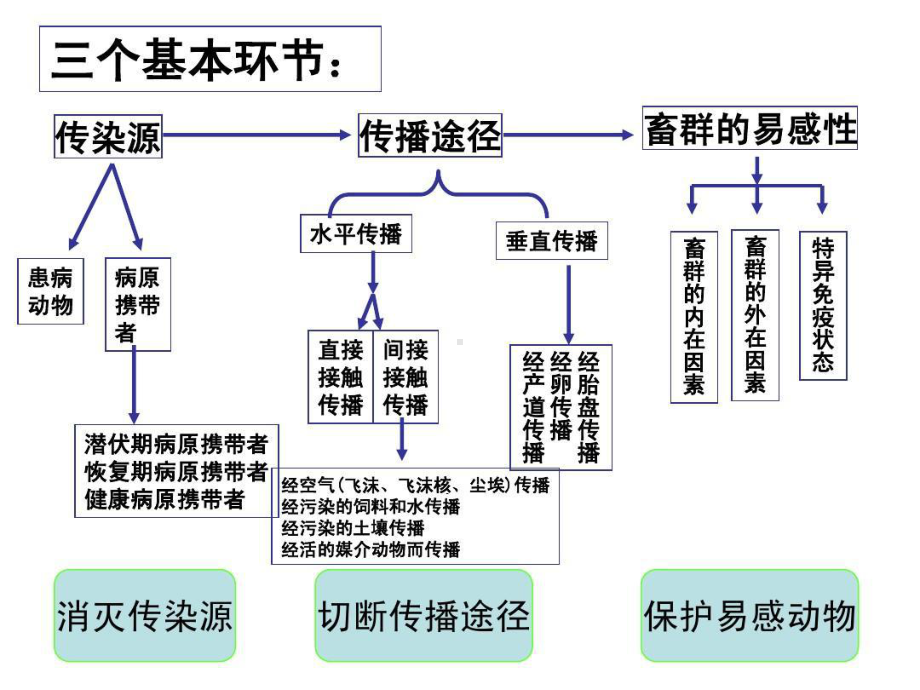 重大动物疫病的防治技术135页PPT课件.ppt_第3页