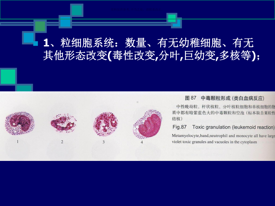 造血检验的基本方法课件.ppt_第2页