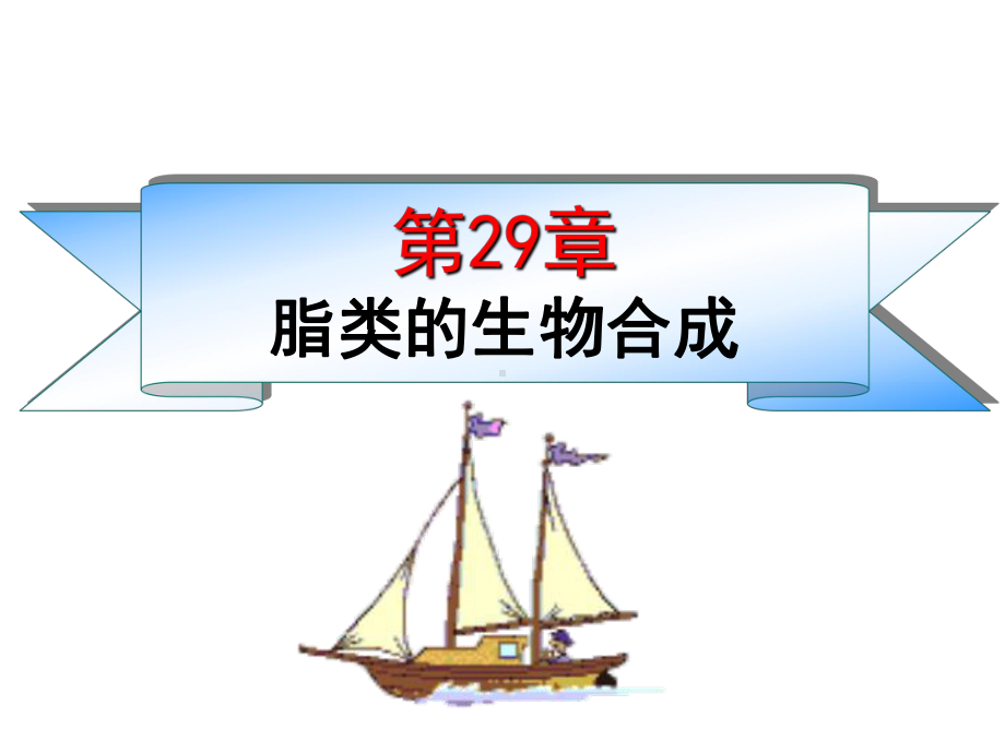 第29章脂类的生物合成共94页课件.ppt_第1页