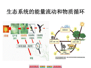 生态系统能量流动和物质循环分析课件.ppt