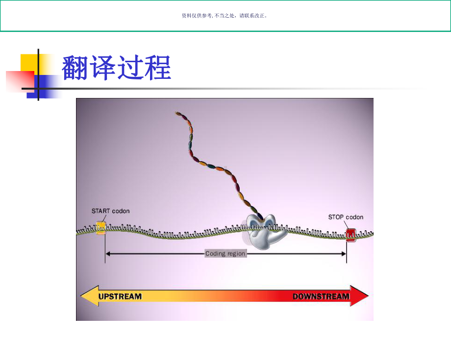 蛋白质的生物合成-专业知识讲解课件.ppt_第1页