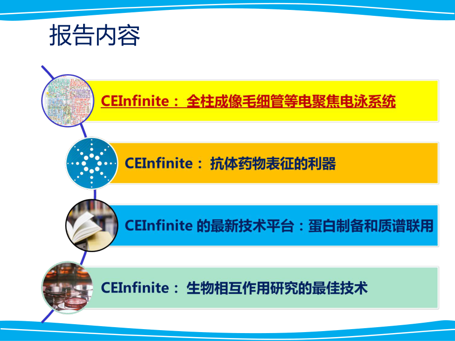 全柱成像毛细管电泳cIEF课件.ppt_第2页