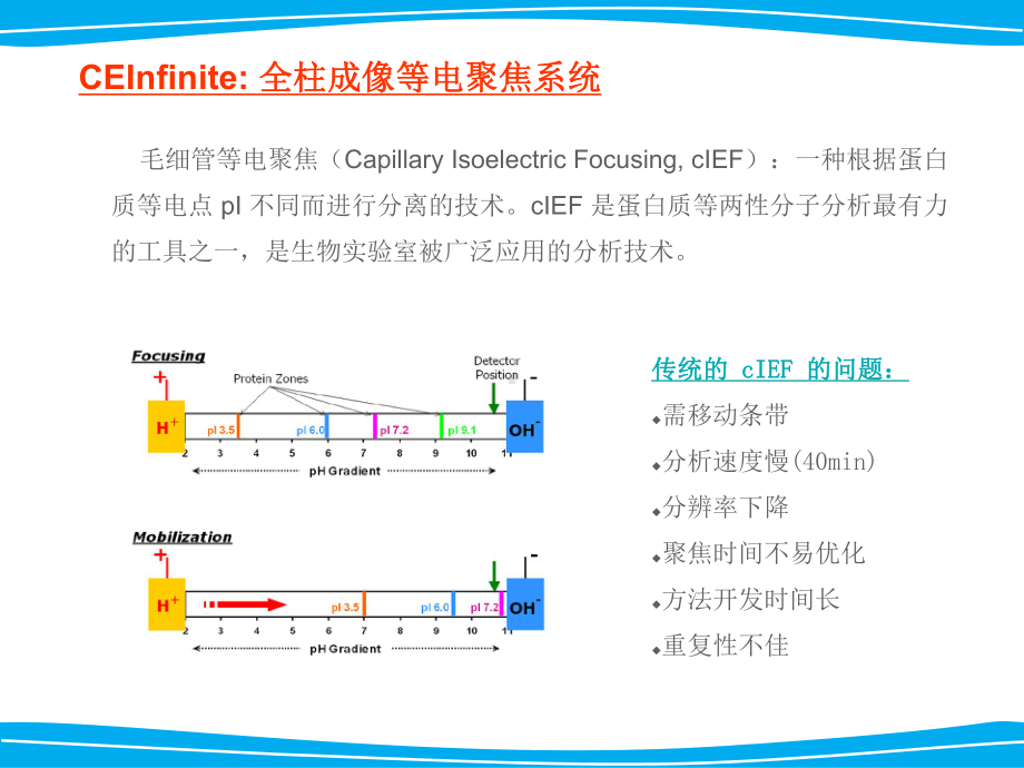 全柱成像毛细管电泳cIEF课件.ppt_第3页