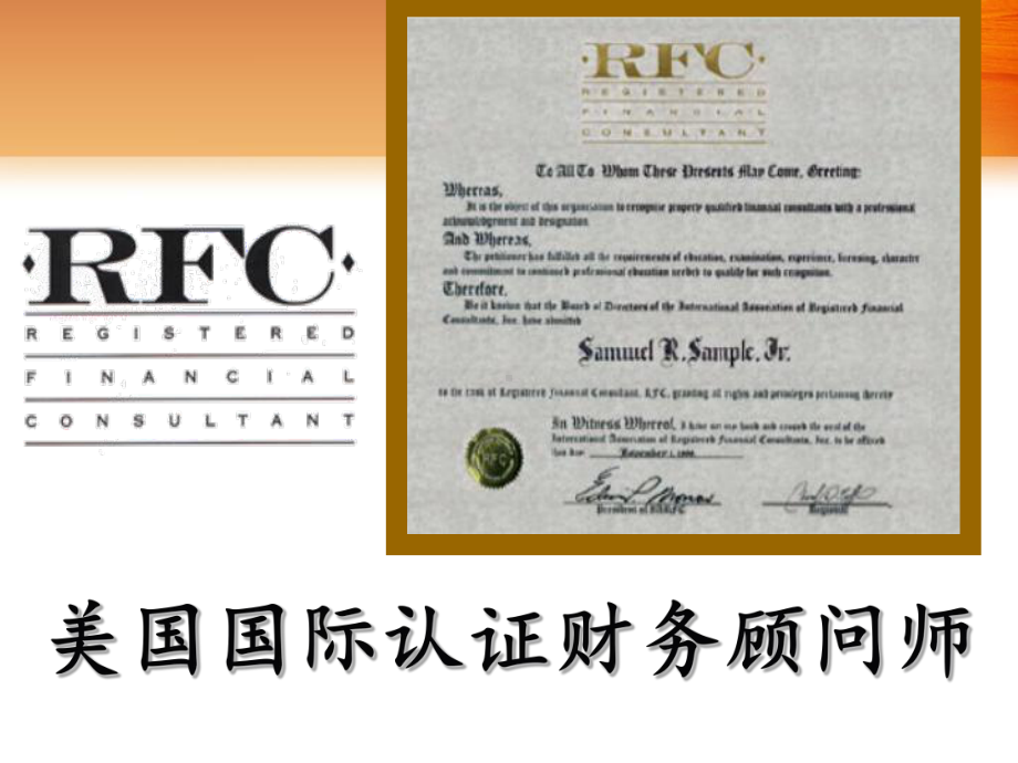 RFC财务分析(新)分析课件.ppt_第2页