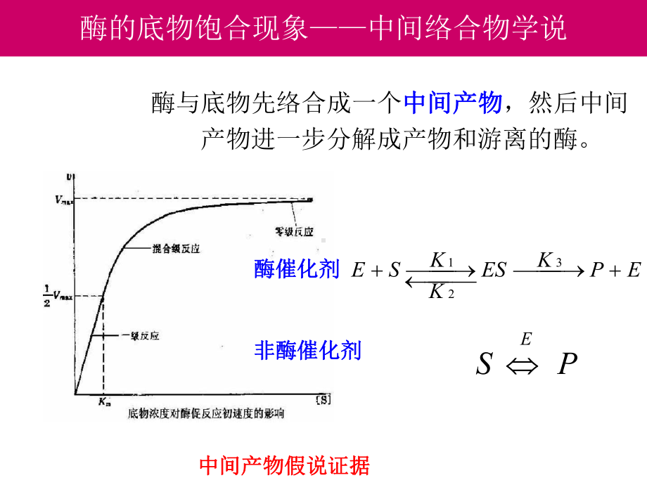 双底物酶促反应动力学机理课件.ppt_第3页