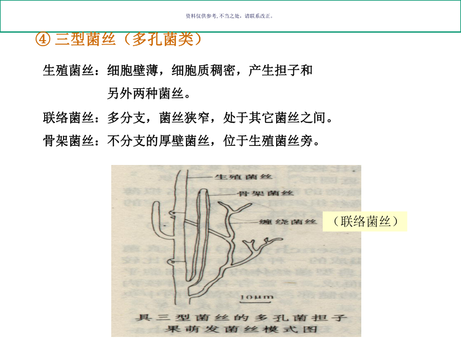 食药用真菌食用菌的生物学基础课件.ppt_第3页