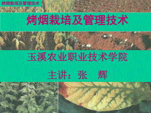 2020年云南烤烟栽培及管理技术参照模板课件.pptx