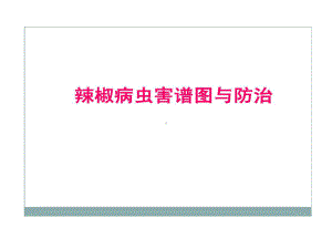 辣椒病虫害图谱和防治共54页文档课件.ppt