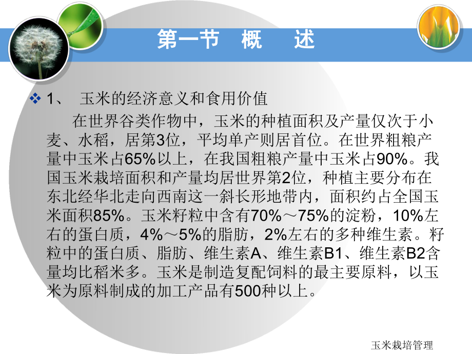 玉米高产栽培技术72页PPT课件.ppt_第2页