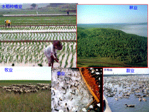 高一地理农业区位因素与农业地域类型(湘教版)课件.ppt