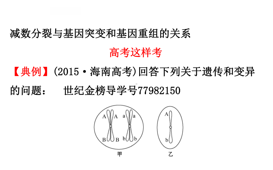 减数分裂与可遗传变异的关系课件.ppt_第2页