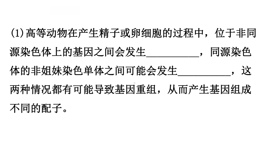 减数分裂与可遗传变异的关系课件.ppt_第3页