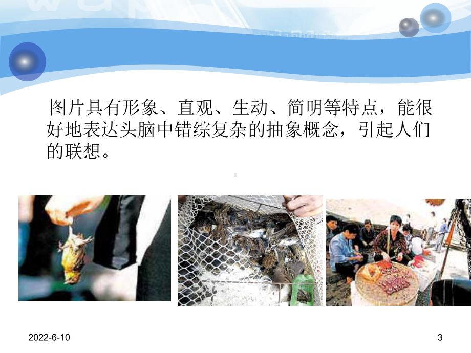 图片的获取与加工课件.ppt_第3页