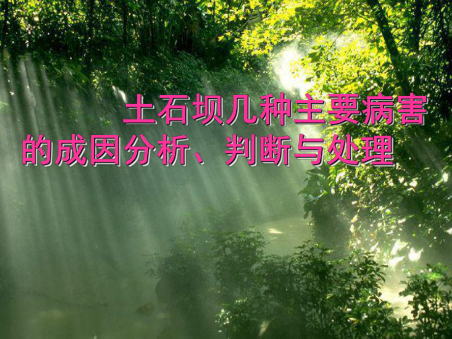 土石坝几种主要病害的成因分析、判断与处理课件.ppt_第1页