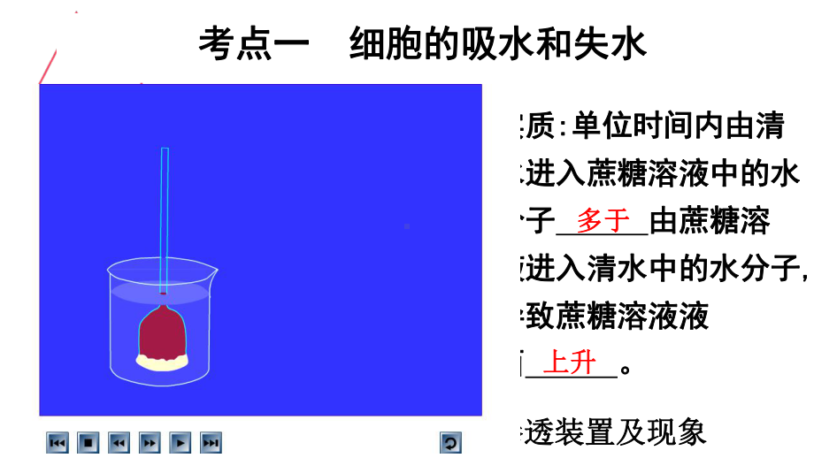 第四章细胞的物质输入和输出课件.pptx_第3页