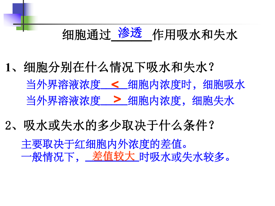 细胞的物质输入和输出复习课件.pptx_第3页