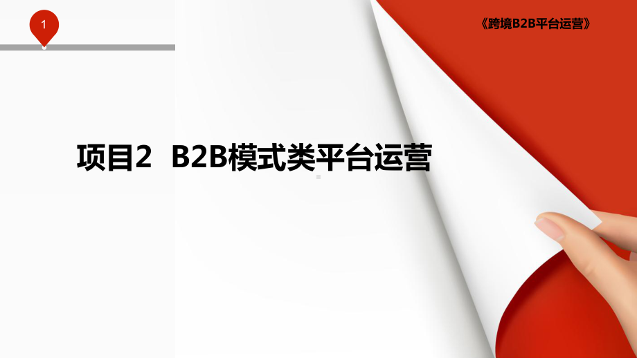 B2B平台营销课件.pptx_第1页